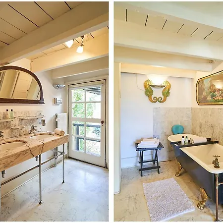 Met De Leeuwenkoppen Dieren